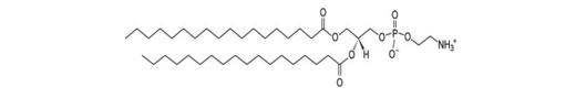 二硬脂酰基磷脂酰乙醇胺